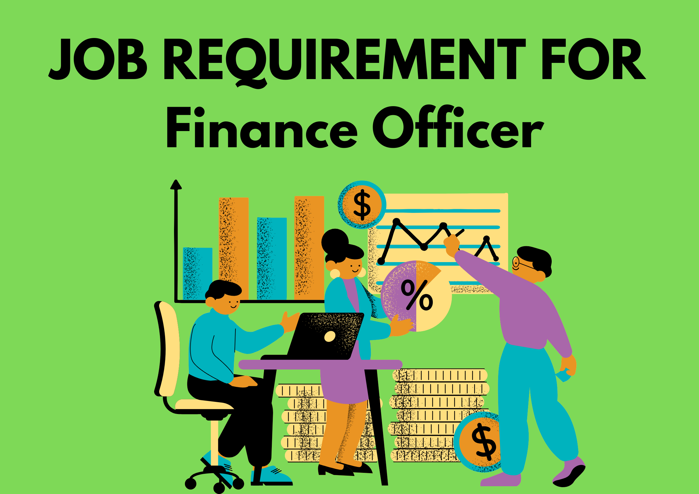 JOB REQUIREMENT FOR Finance Officer