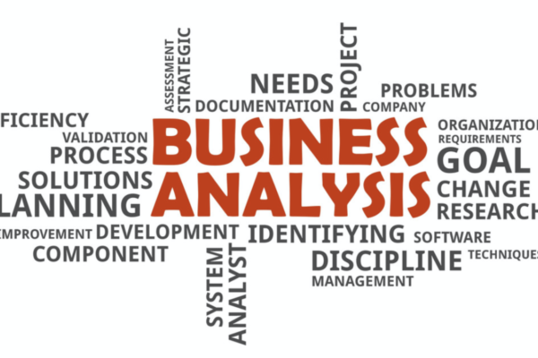 Business Analyst