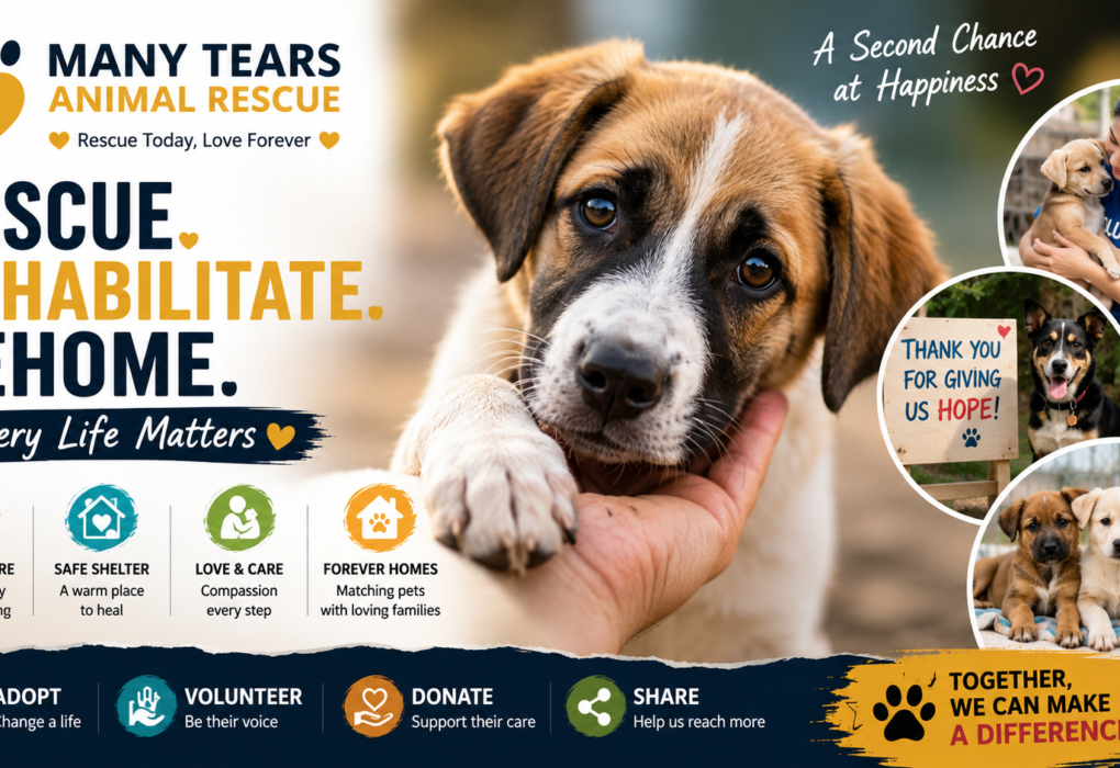 Many Tears Animal Rescue: A Complete Guide to Compassionate Animal Rescue and Pet Adoption